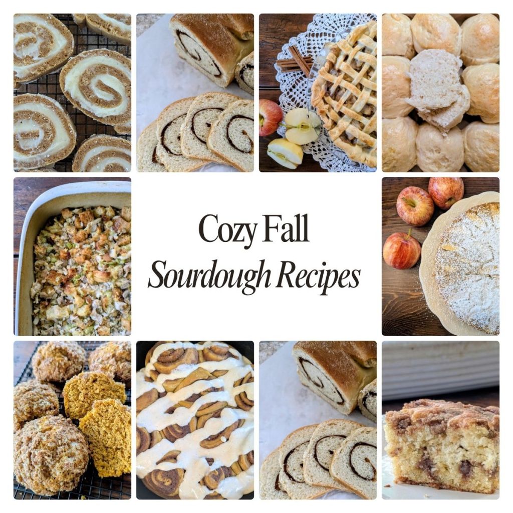 Collage of fall sourdough recipes including cinnamon rolls, cake, and muffins